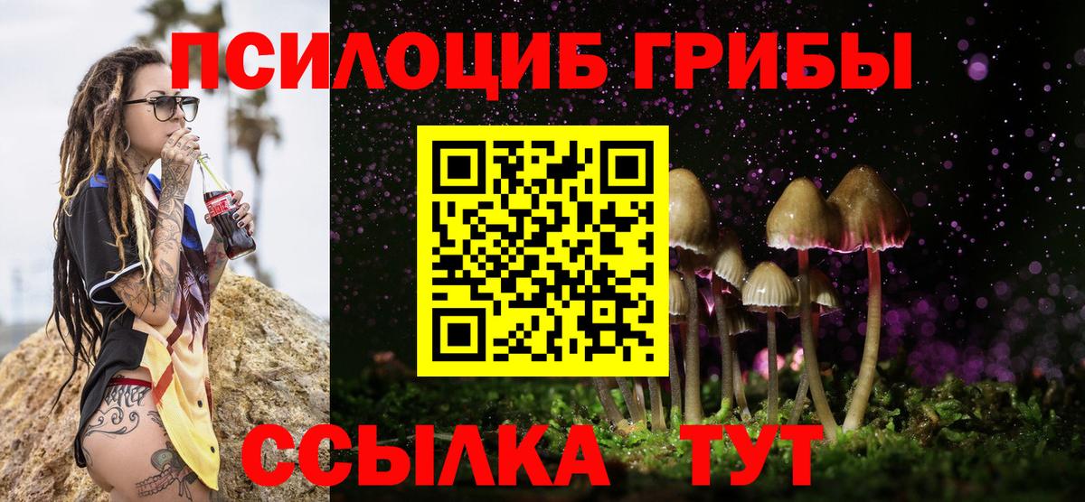 Тверь  Псилоцибиновые грибы Psilocybine cubensis  Вход с VPN 
