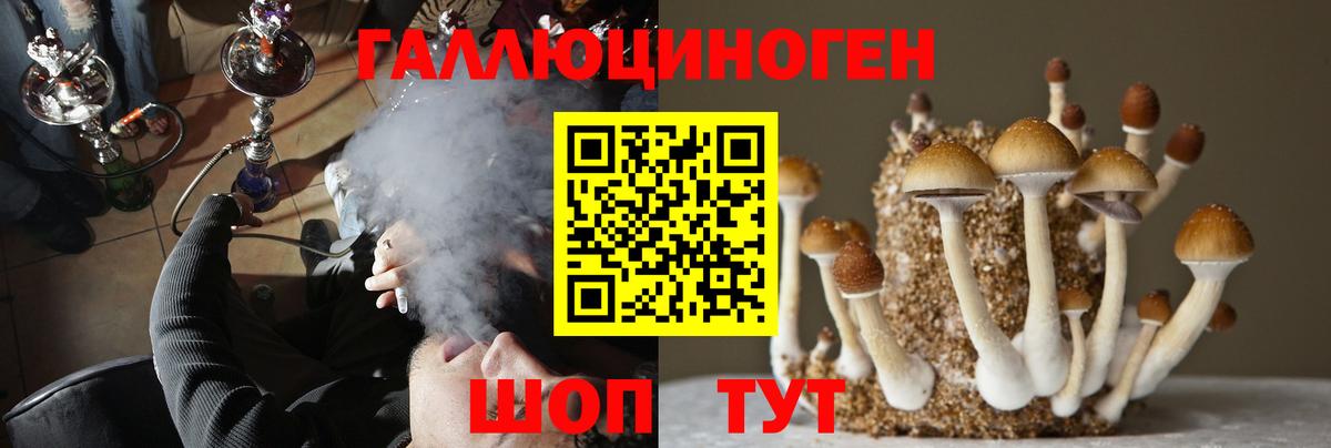Псилоцибиновые грибы ЛСД Тверь